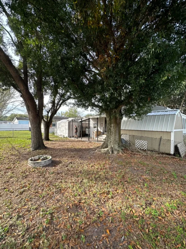🌟NOW AVAILABLE 🏠 Mobile Home
